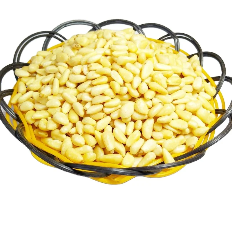 
new crop 100%Pure natural wild pine nuts edible nuts 