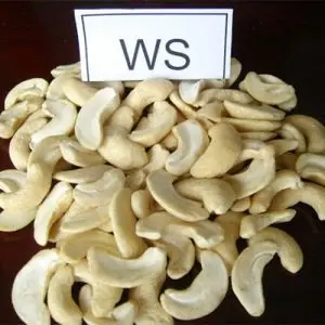 Cashew nuts cashew nuts price is best in the world 2021