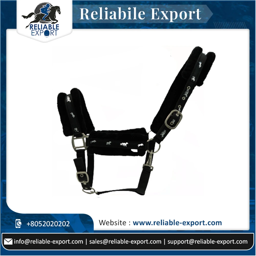 2024 New Latest Design Horse Riding PP Halters Bulk Manufacturer Supplier Buy At Good Price