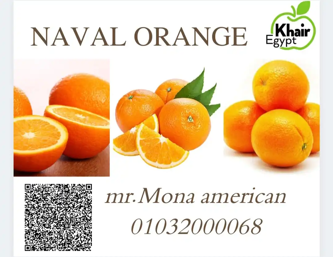 Organic Best Selling Super Fresh-Natural Ripe and Healthy Egyptian ORANGE CITRUS 2021