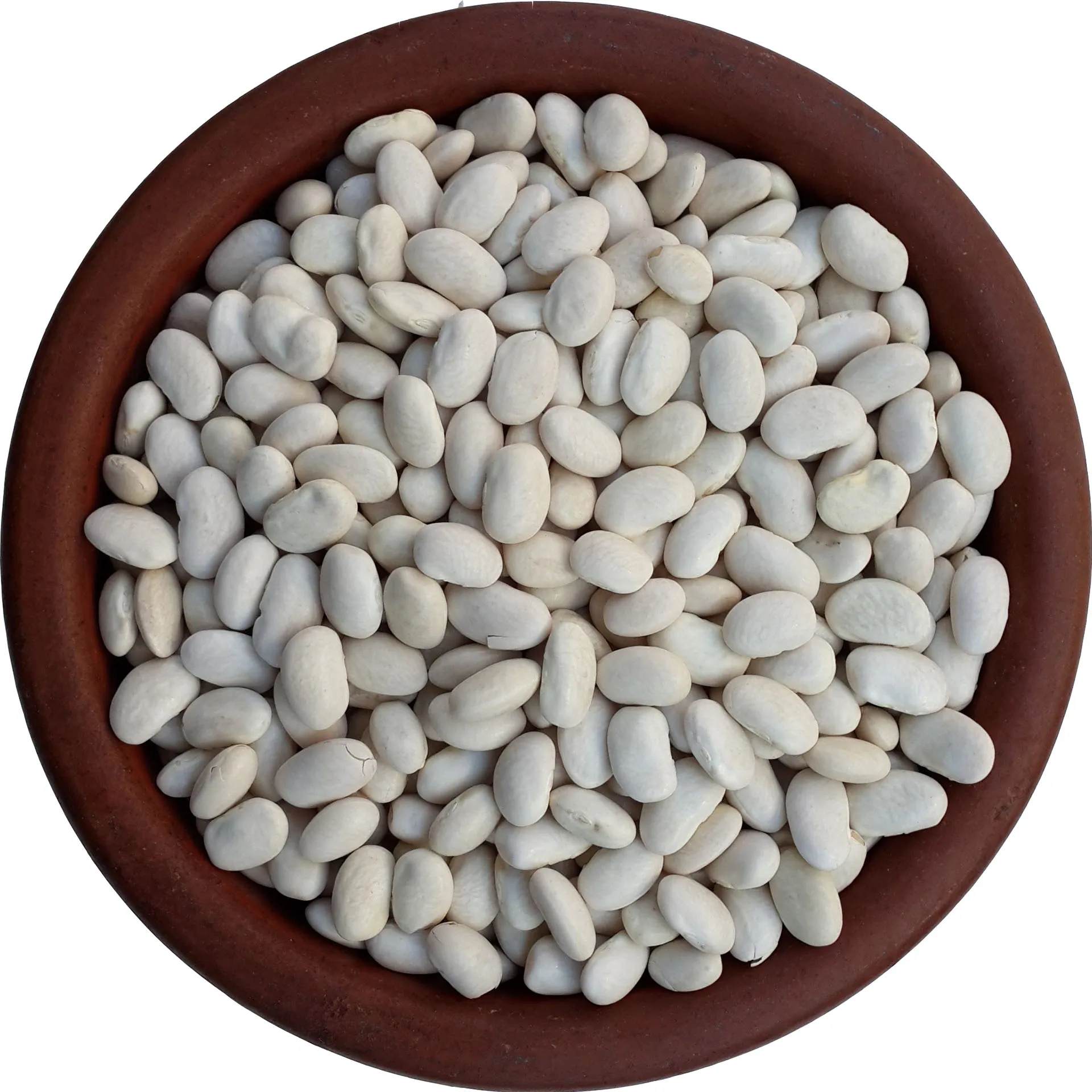 
14% Delicious Max Moisture Dried Large Lima Beans White In 140/160Pcs Per 100g Recent Crop 