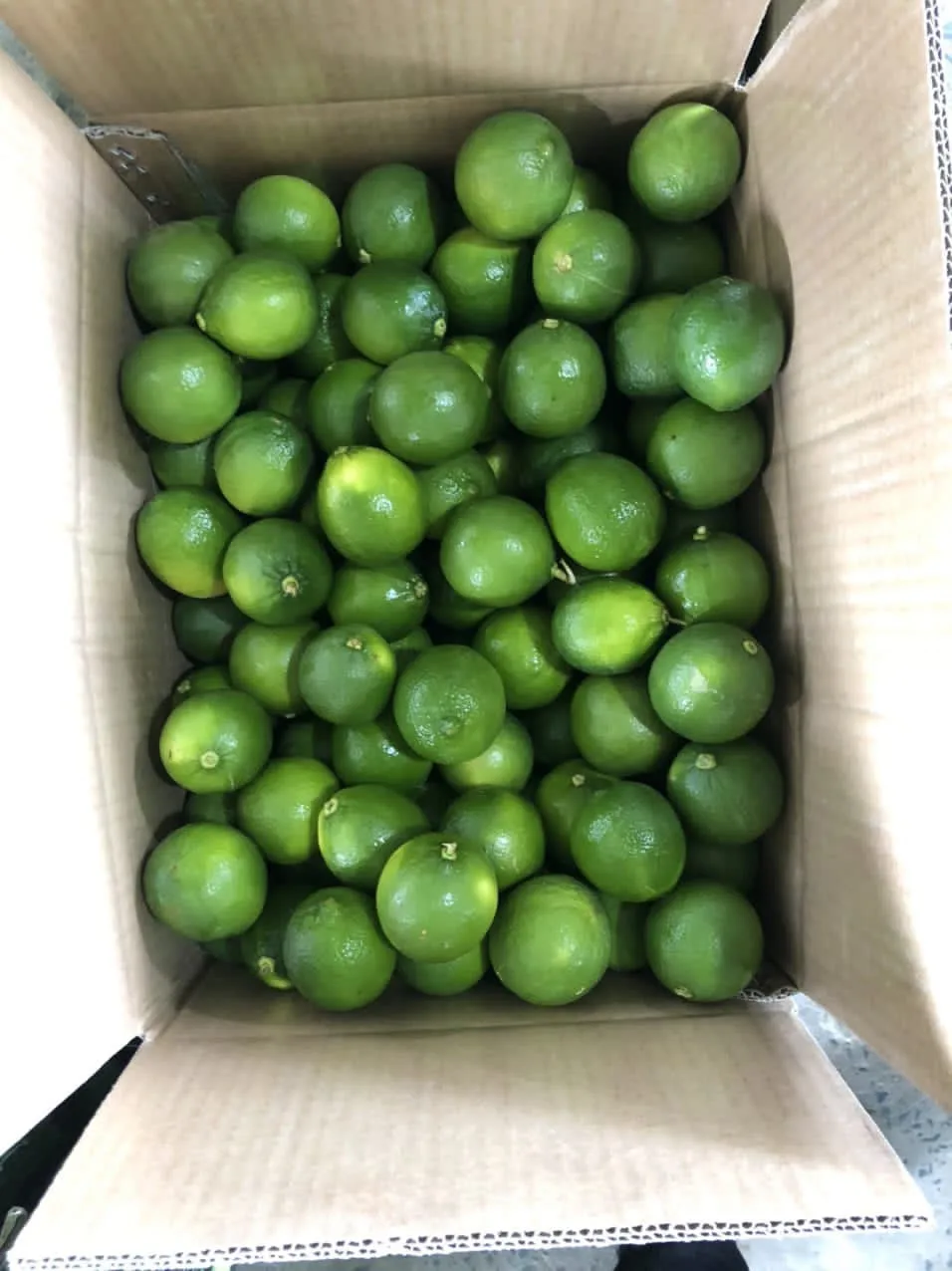 Seedless Lime Fresh Citrus Fruit High Quality Brand Manufacturer Wholesaler Cheap Price Low MOQ Best Selling From Vietnam