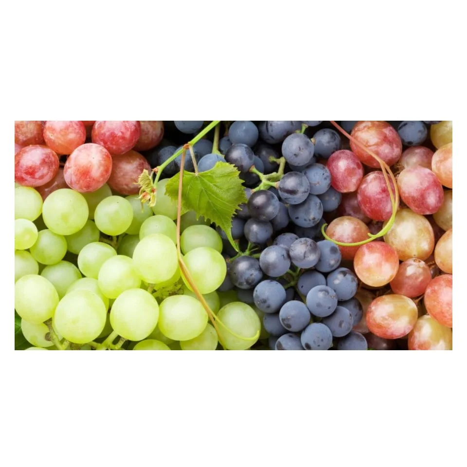 Wholesale Supplier Of Fresh Fruit Grapes Ready To Ship