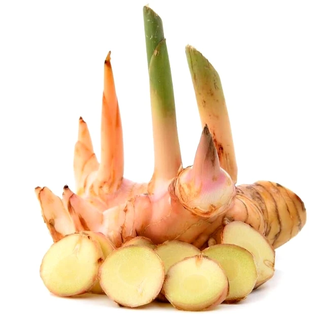 100% GALANGAL DRIED SLICES CHUNKY CUT ROOT RHIZOME ORGANIC NATURAL HERBS SPICY PREMIUM QUALITY NO CHEMICAL PRODUCT OF THAILAND