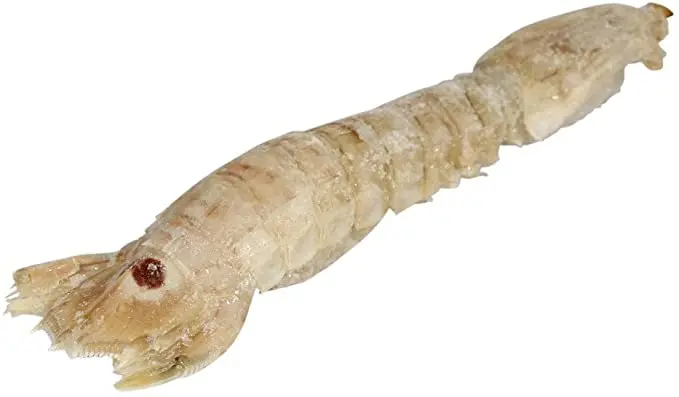 Frozen Mantis Shriimp Indonesian Seafood