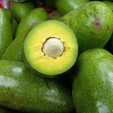 Cheap Fresh green avocado & Hass Avocado