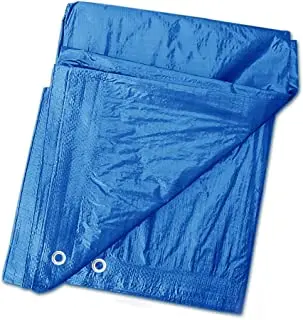 High Quality Waterproof Blue color customized size Vietnamese PE Tarpaulin