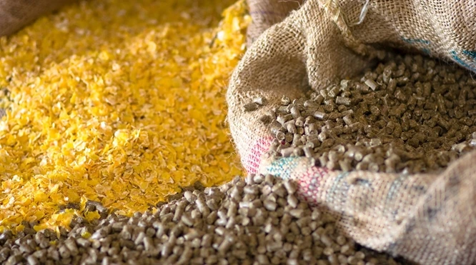 soybean meal for sale for cattle cow horse pig chicken palm kernel cake