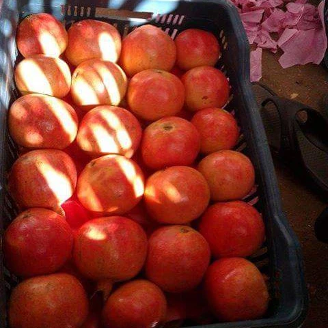 POMEGRANATE-- At a cheaper fob price 2021