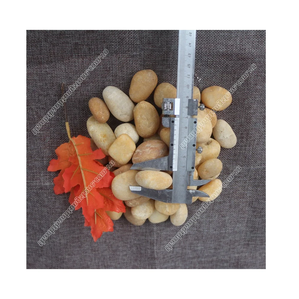 Top Viet Nam Decorative Stone Natural Stone Thanh Thanh Tung Brand