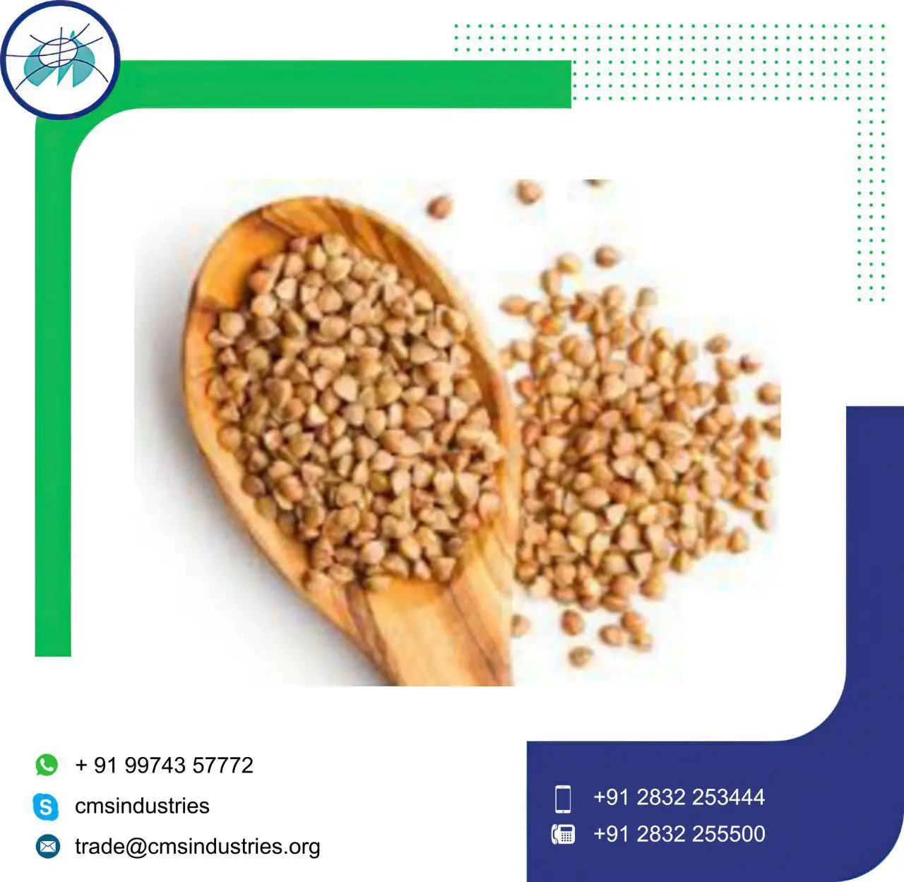  Семена гречихи оптом