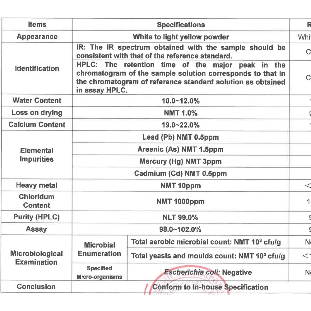 Pure Quality Calcium AKG Dietary Supplement Bulky Calcium Powder Supplement for Body Health and Increase Calcium Supply