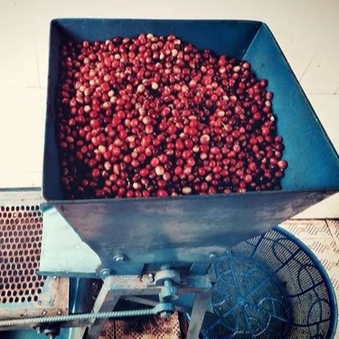 Customized Packing ISO Certification High Quality Tasteful Arabica Coffee Beans from Cau Dat Vietnam