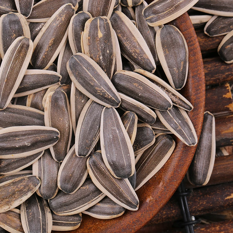 sunflower seed..jpg