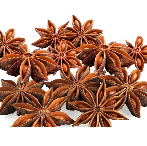 Wholesale High Quality Star Anise  -  Certified 100% Organic - Spices & Herbs Products 100% Natural Dried