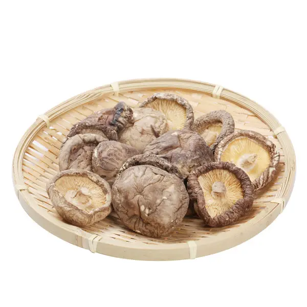 High Quality dry porcini mushroom for sale