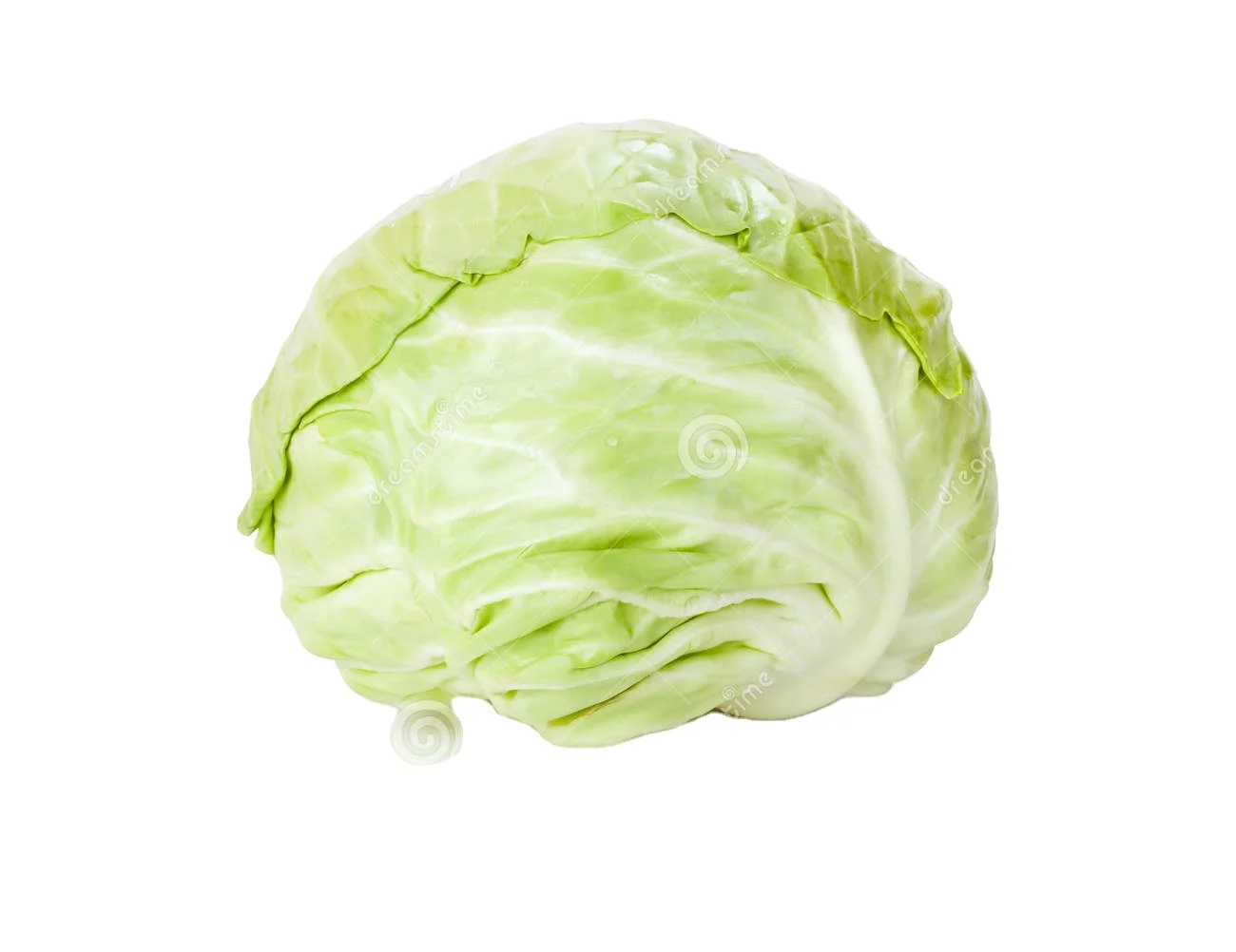 cabbage.jpg