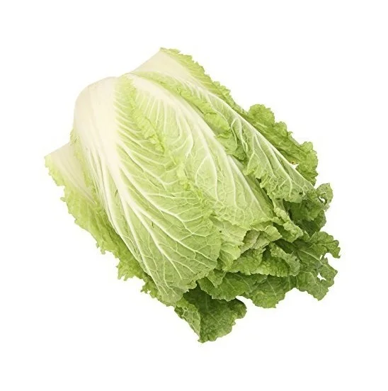 
Big Size Organic Premium Round Fresh Best Quality Cabbage Cheap Price From Germany Wholesaler 