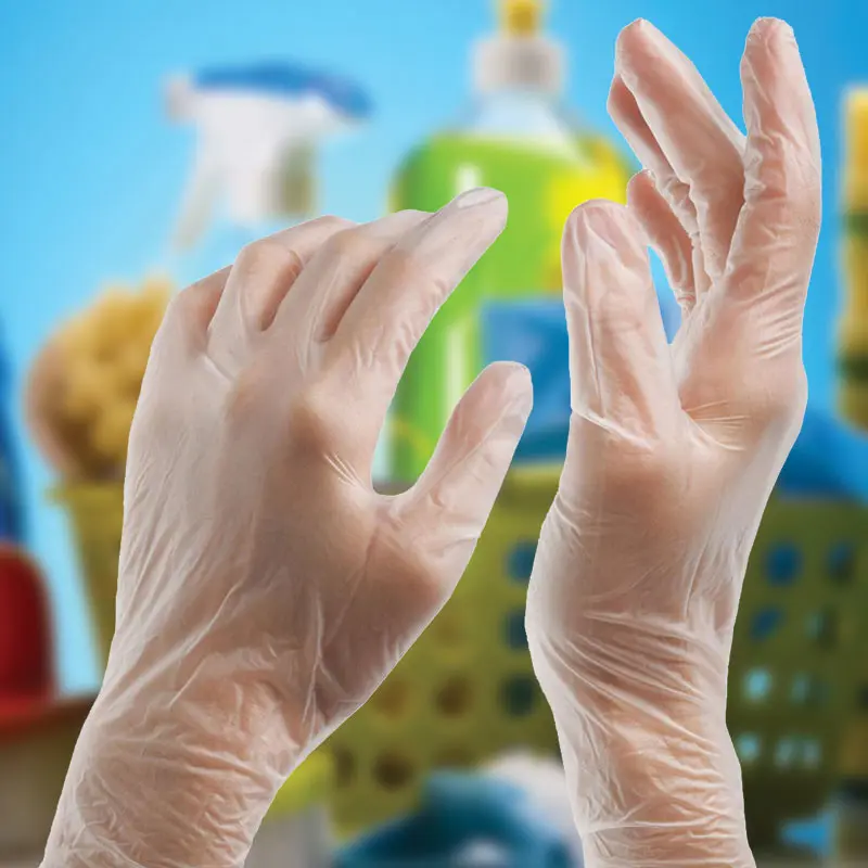 Vinyl Gloves.jpg