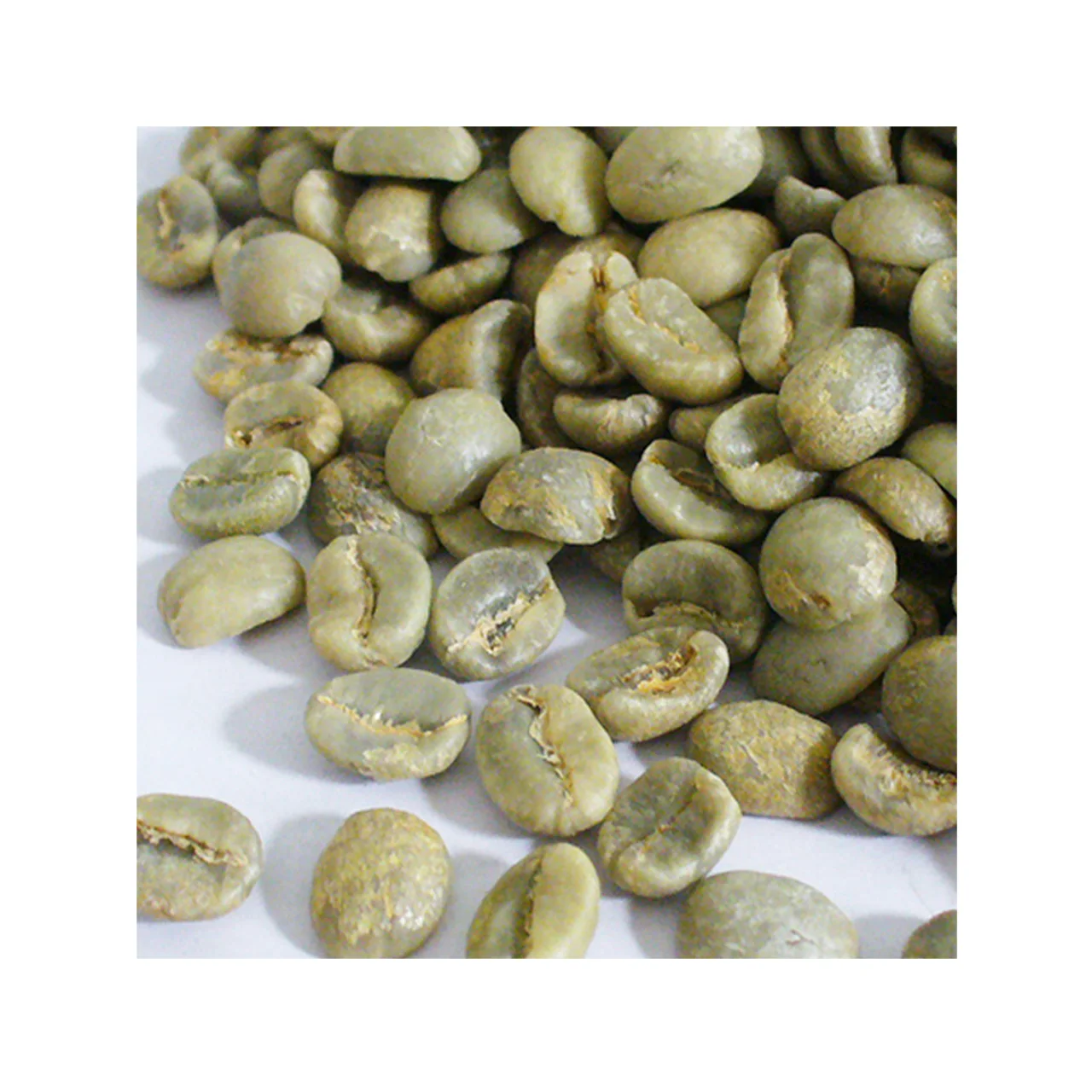 Размер top arabica кофейные зерна robusta зеленый напиток кофе капельный