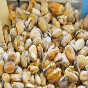 Моллюсков сушеные/Замороженные полускорлупы Mussel