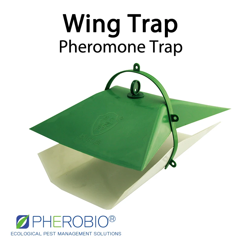 Желтая персиковая приманка-ловушка для феромонов