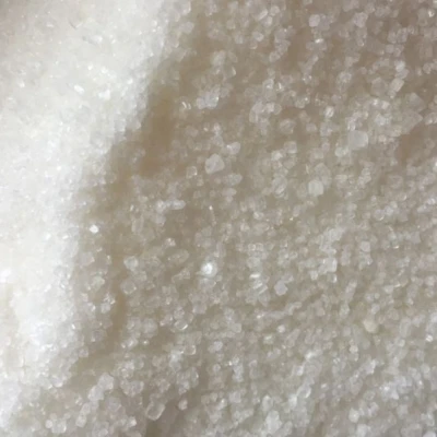 Sugar exporters from Thailand