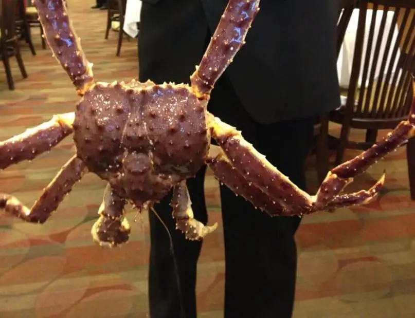 Красный король краб./российский король краб