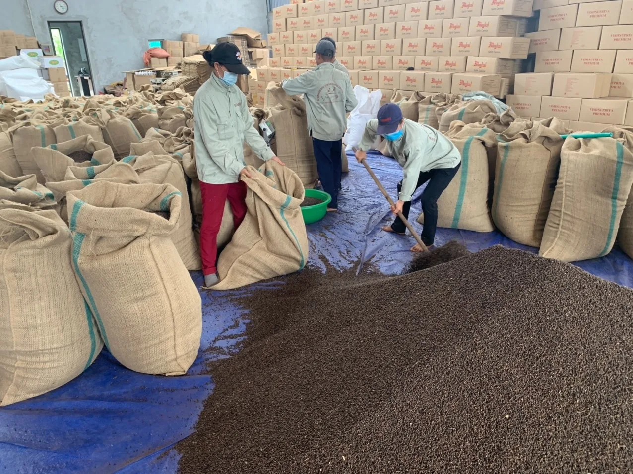 Часто задаваемые вопросы: черный перец 500GL 550GL 570GL Вьетнам Лучшее качество