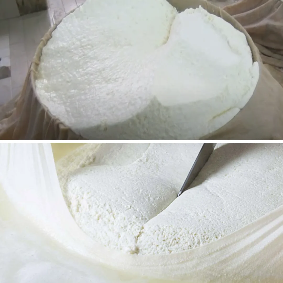 Premium Italian Grana Cheese Protected designation of origin (PDO) for Wholesale Retail Horeca