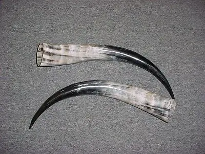 PH-1 (3).jpg
