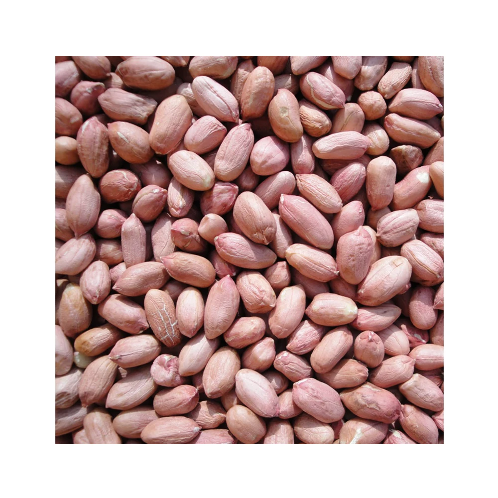  Java peanut 100% Высококачественные заземляющие гайки доступны в вакуумной упаковке для более длительного срока годности с самой быстрой