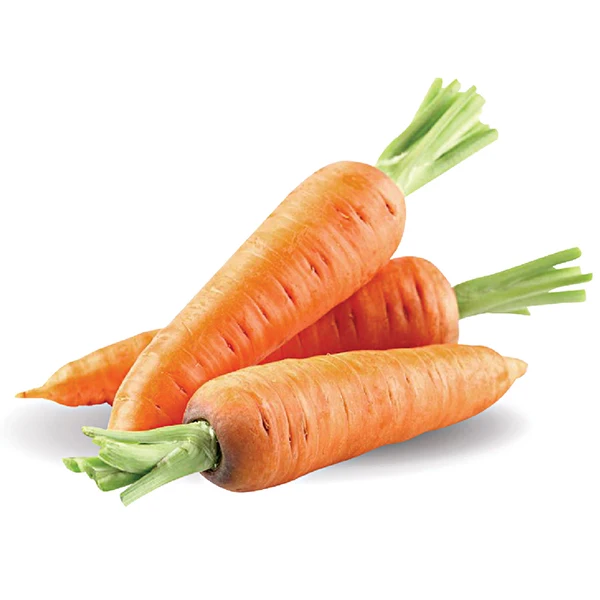VIETNAM FRESH CARROT - GOOD QUALITY - BEST PRICE