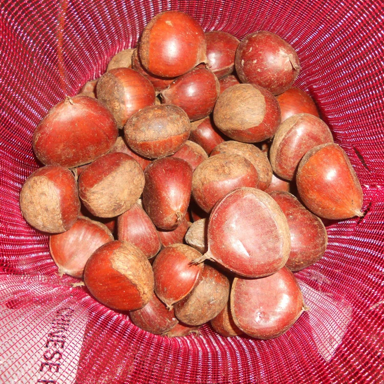 Китайский экспорт каштановая шайба/сладкий каштан для