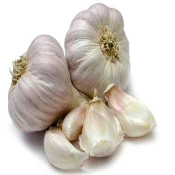 
Garlic Oil Wholesale Prices 