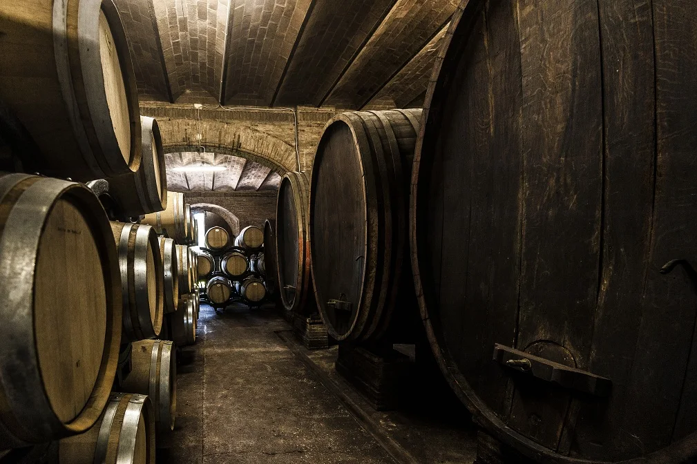 White wine supertuscan Chardoannay  2016