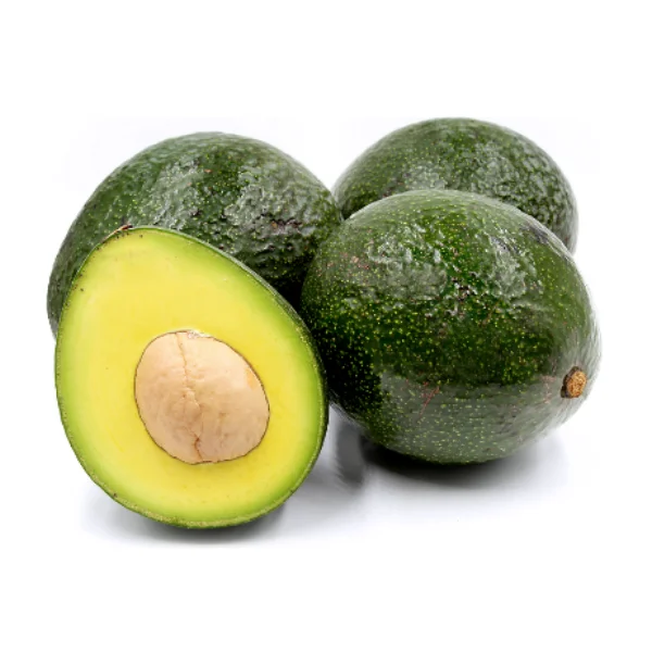 Fresh Avocado Made In Vietnam For Export With The Best Price Standard High