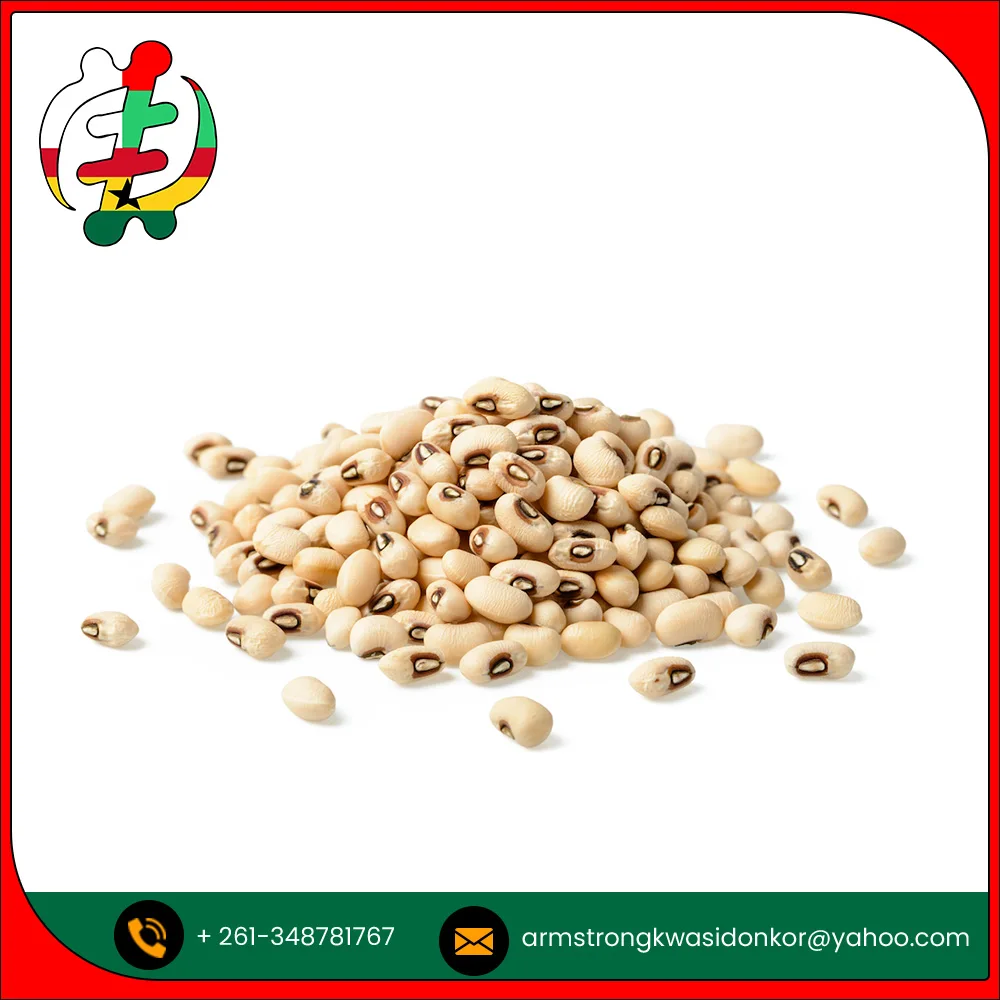 Оптовая продажа бобов для глаз черного цвета с высокой степенью чистоты по оптовой цене