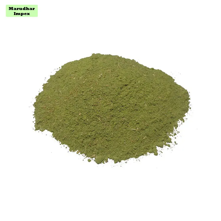 Wholesale Selling Exceptional Quality Ziziphus Nummularia Extract SIDR Powder