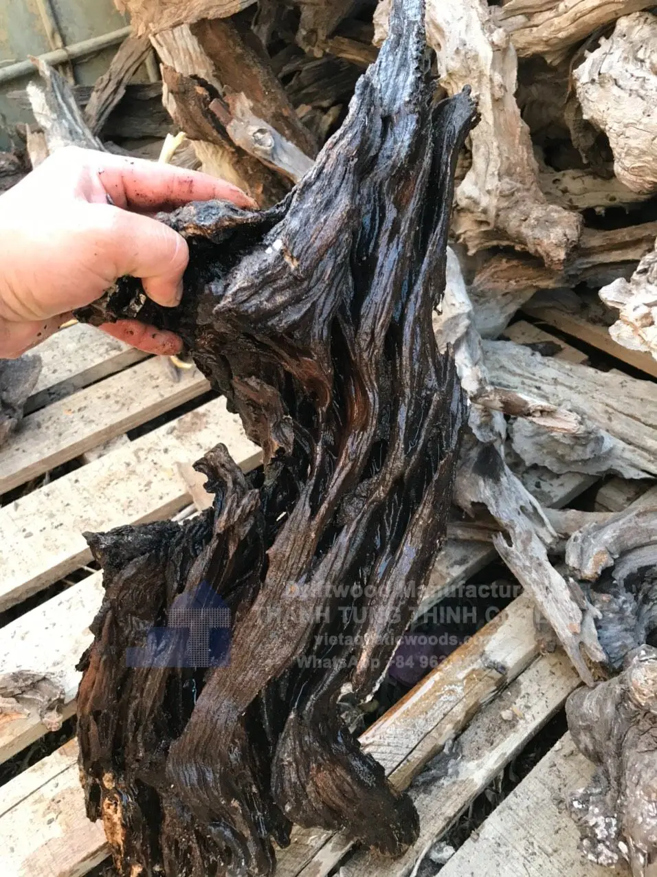 Natural aquarium driftwood mangrove root driftwood for aquarium fish tank Accessories WhatsApp: +84 961005832