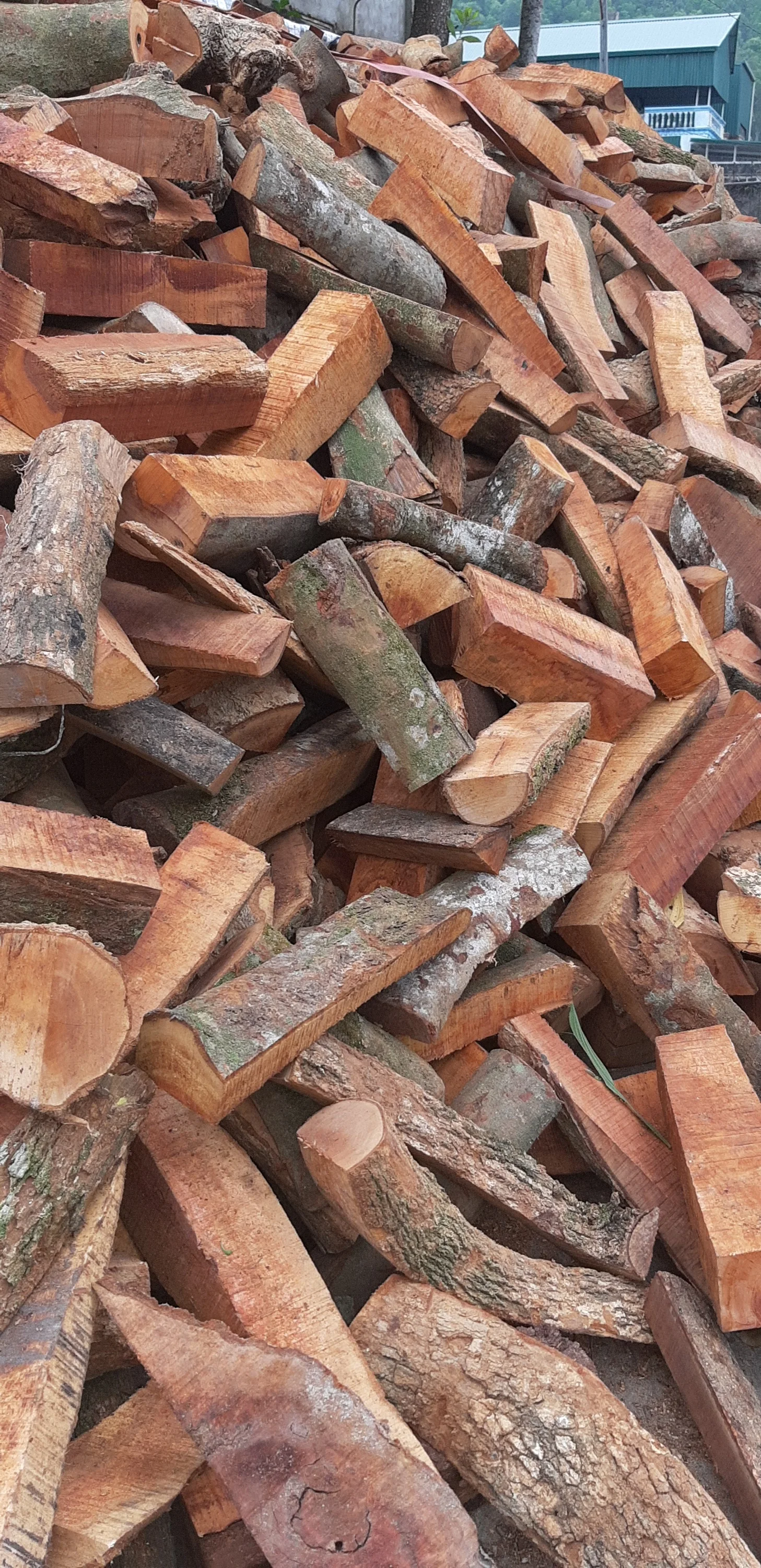 LOGAN-KAYA-ACACIA FIREWOOD HIGH QUALITY FIRE WOOD FROM VIETNAM FOR EXPORT