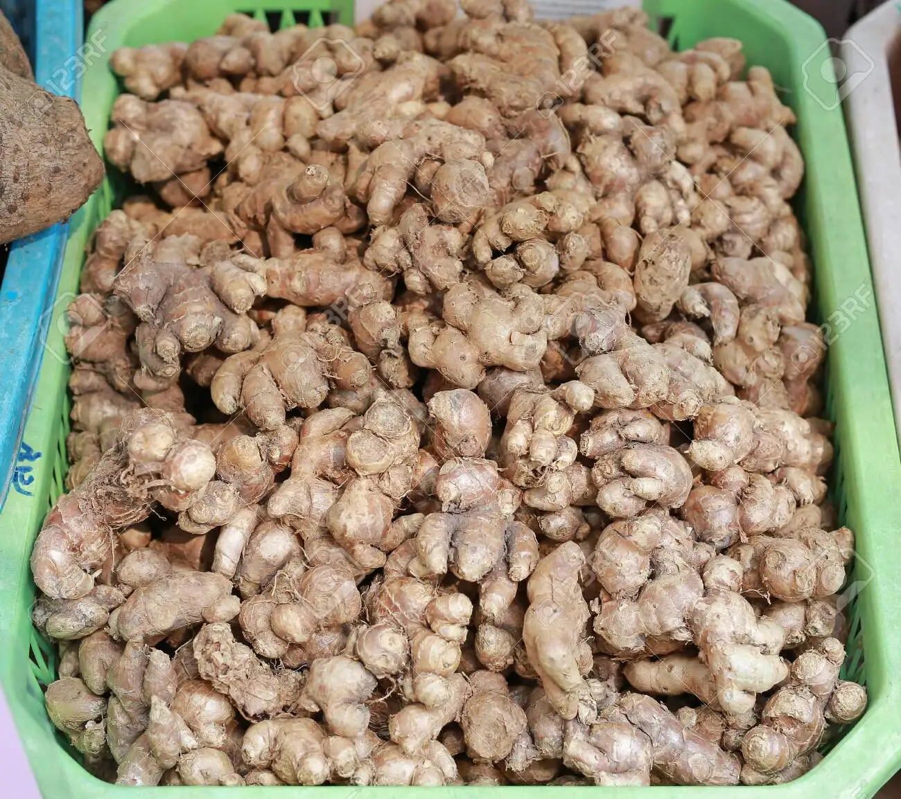 Black ginger Kaempferia Parviflora for Medicine Usage from Vietnam
