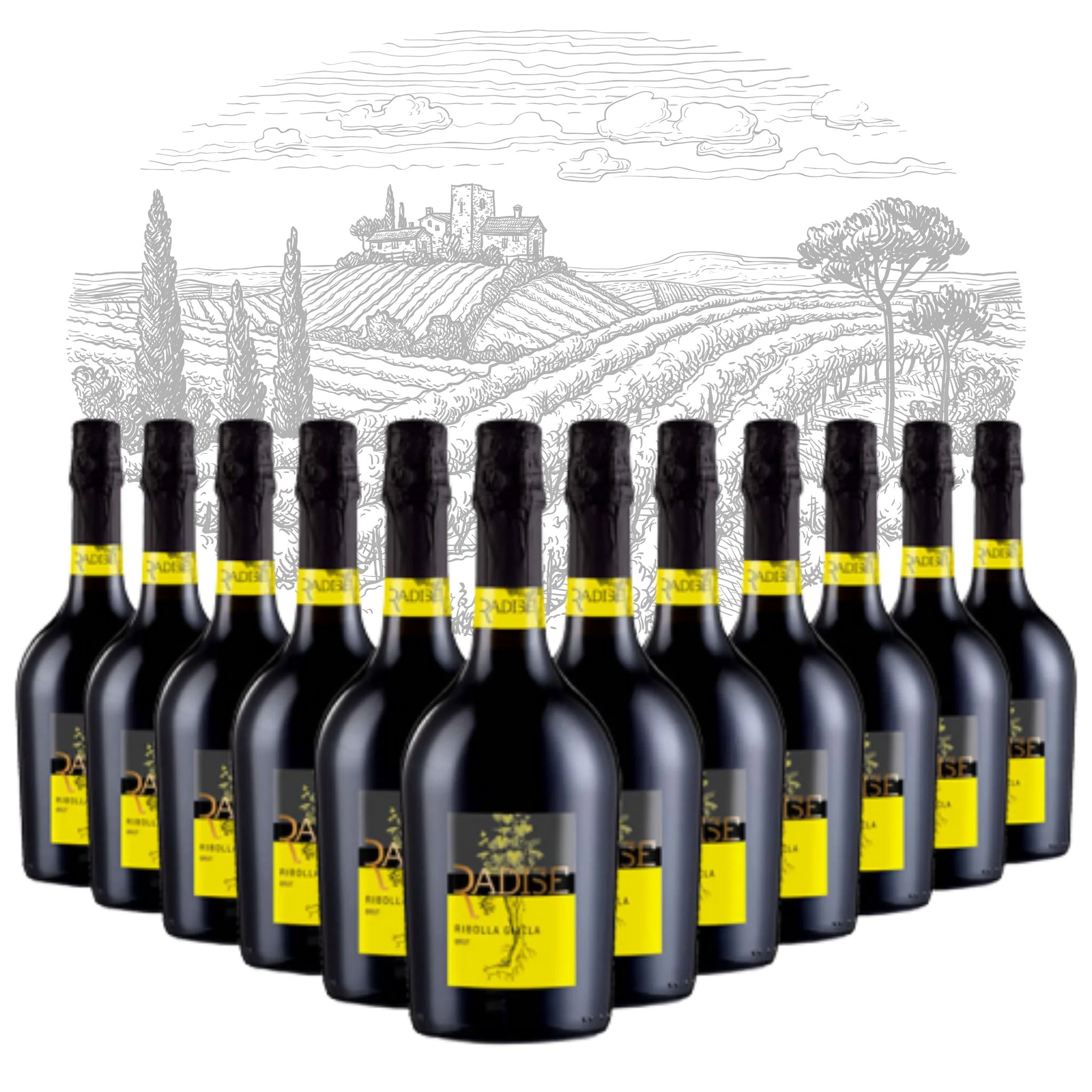 Premium Italian Spumante Extra Dry Sparkling WIne  - Radise - bottles 750 ml alcohol 11% for export