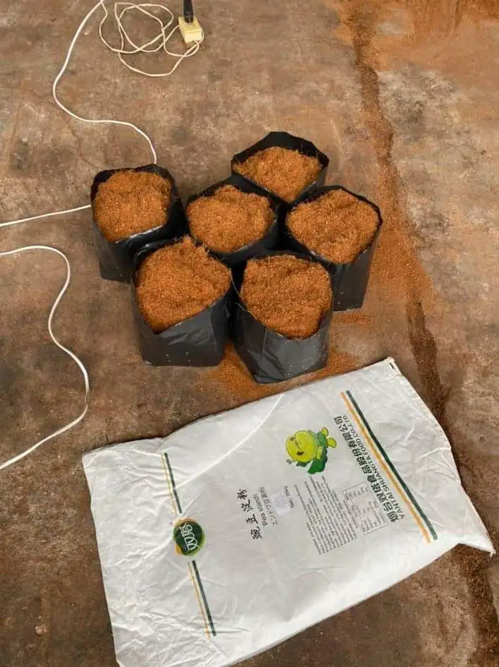 
Organic Natural Brown Coconut Peat Powder For All Season With High Quality 