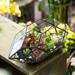 Iron & Glass terrarium