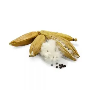 100% Natural Lightweight Kapok Fiber - Good product High Quality in