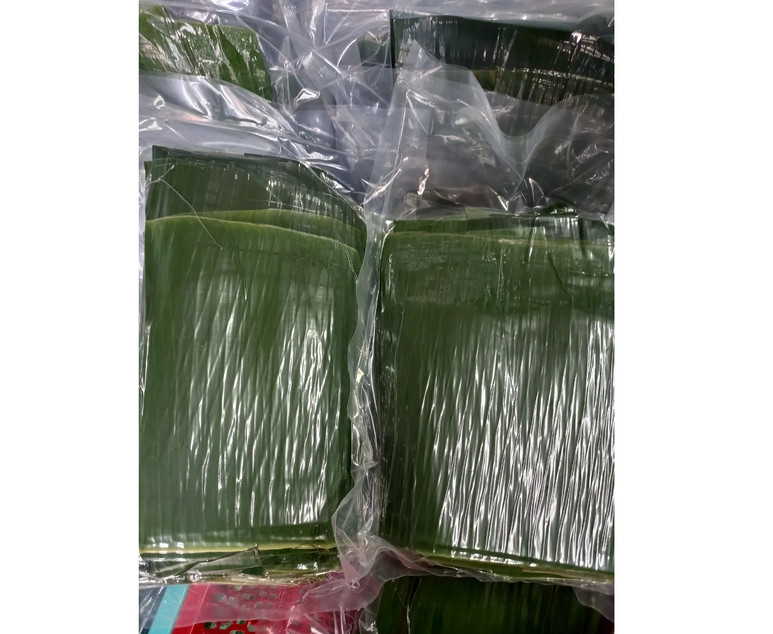 Свежие банановые листья из вьетнамских банановых листьев оптовые поставщики