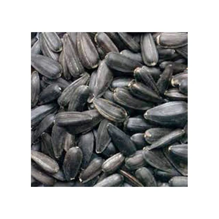 
Wholesale Bulk Supplier of Black Sunflower seeds for Sale 