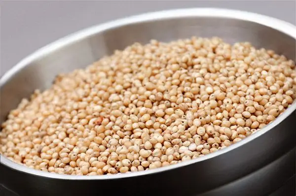 
Competitive Price White Sorghum from Brazil 