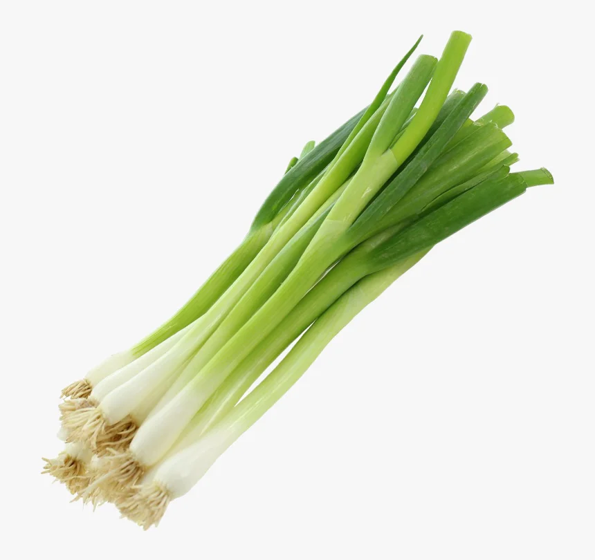 
Smooth And Delicious Leek At Sale 